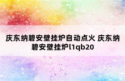 庆东纳碧安壁挂炉自动点火 庆东纳碧安壁挂炉l1qb20